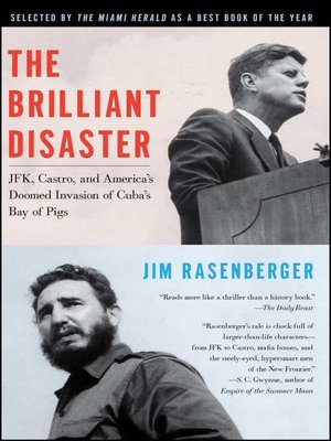 cover image of The Brilliant Disaster